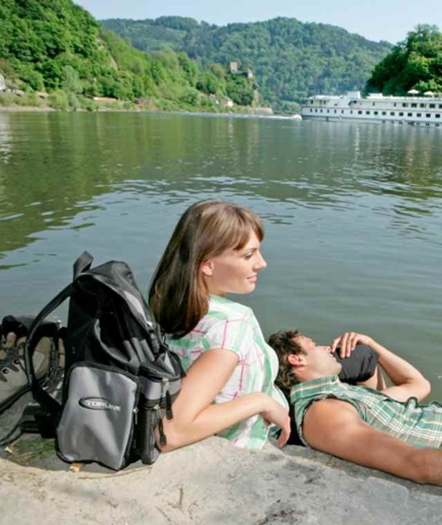Insel Wörth, Burg Werfenstein