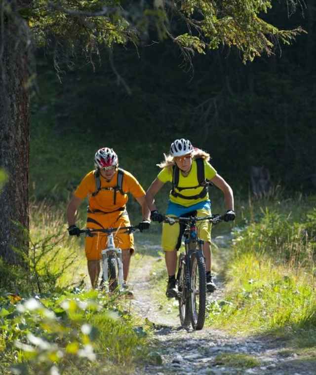 Die Tour führt immer wieder über offene Wiesen und Wälder. 