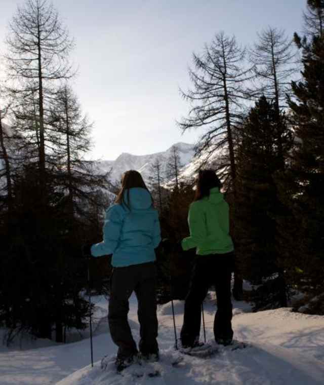 Schneeschuhwandern mit winterlichem Panorama 