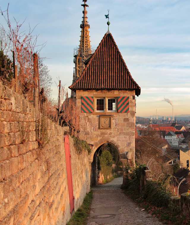 Esslinger Höhenweg und Beutau mit Weinbergen und historischer Altstadt von Esslingen. 