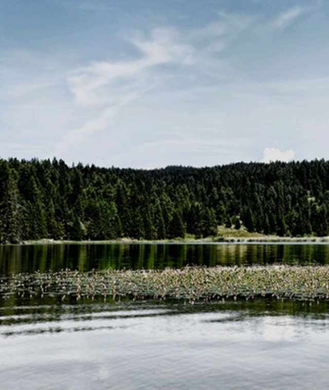 Via Vigilius - 3. Etappe: Von Unsere Liebe Frau im Walde nach Fondo