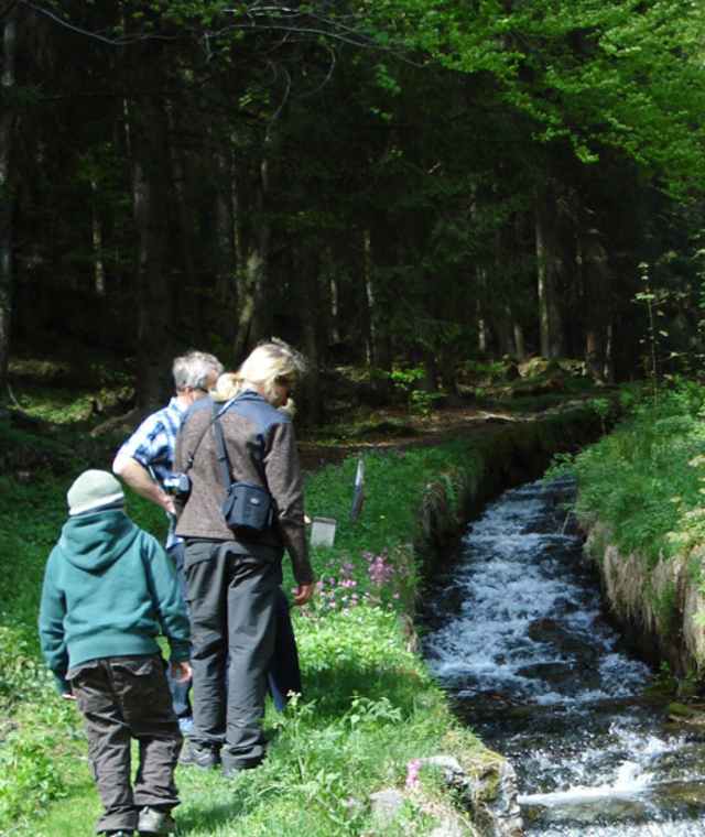 Steilstufenweg - Kleine Runde