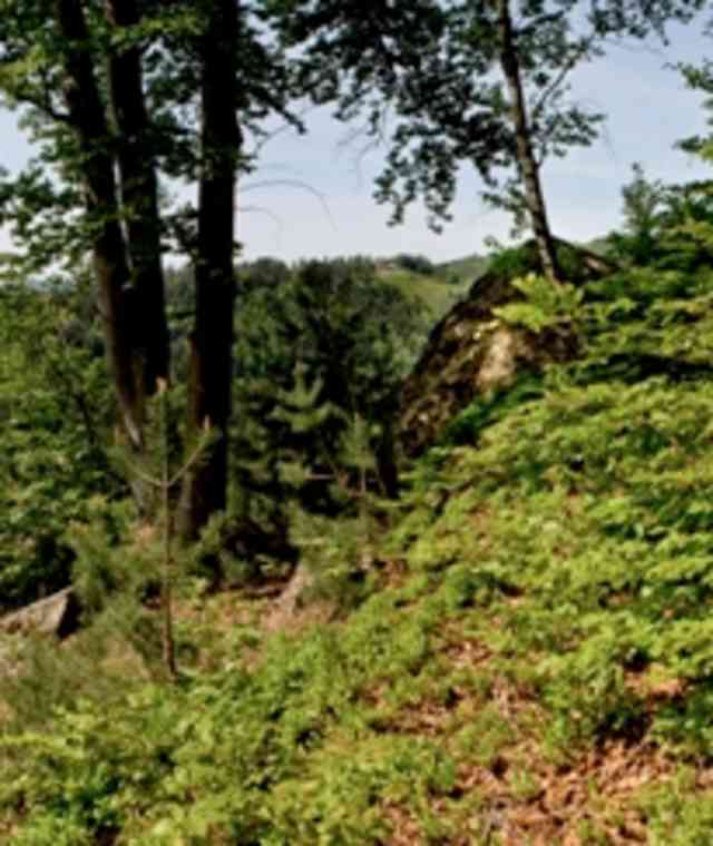 Panorama Dichterstein