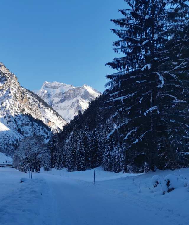 Winter im Oytal - Blick zum Schneck.