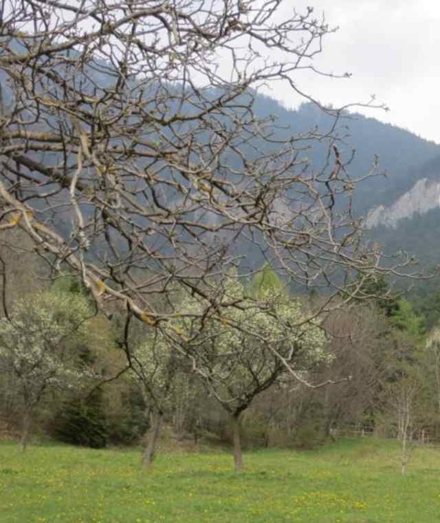 Blick zur Jubiläumsaussicht am Geyerstein