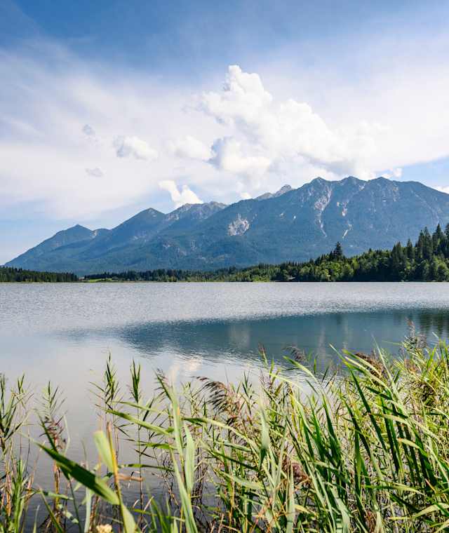 Barmseeufer im Sommer