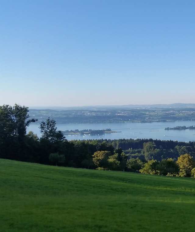 Blick über den Zürichsee