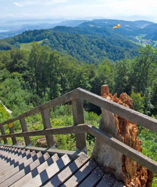Wanderweg am Üetliberg