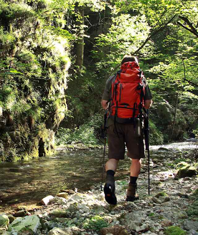 In der Falkenschlucht