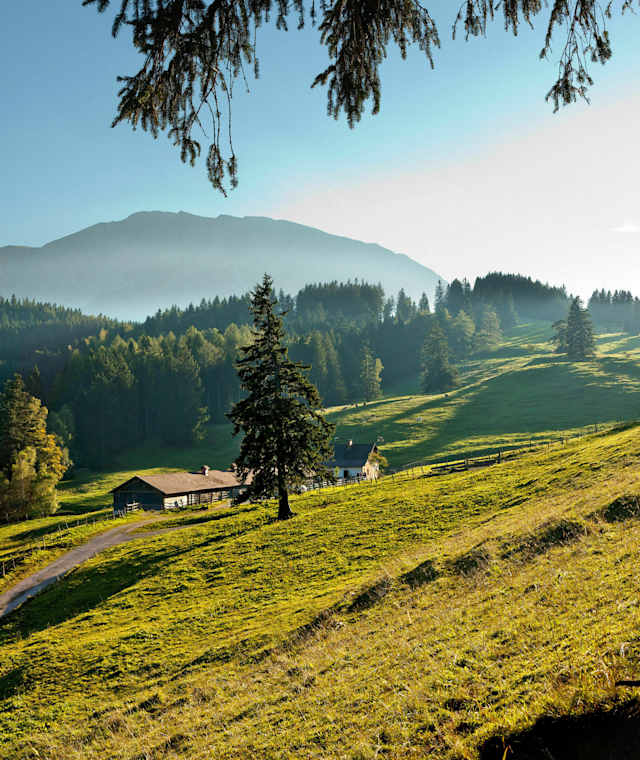 Auf der Schoberalm