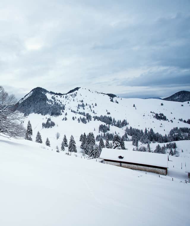 Bei bewölktem Himmel bleibt der Schnee an den Südhängen der Jackelberger Alm länger pulvrig.