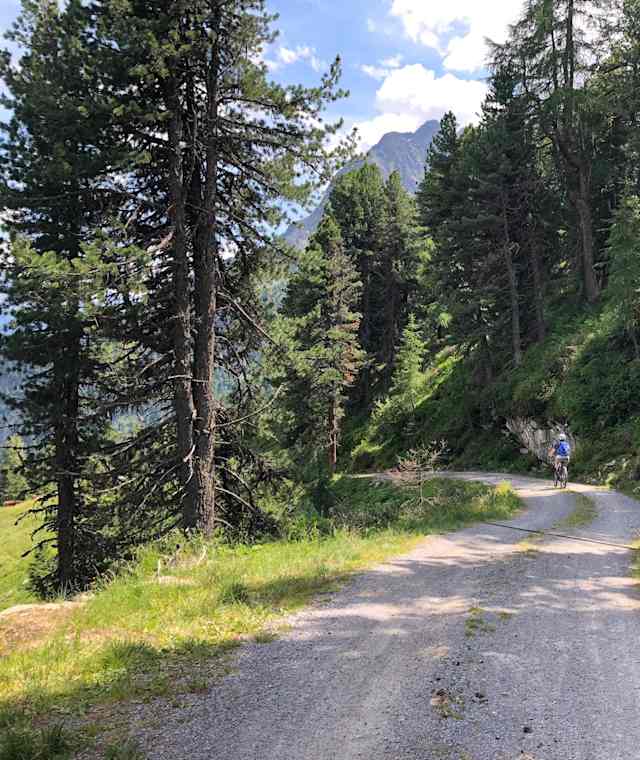 Auf dem Weg zur Stabele Alm, auch mit dem Bike gut machbar